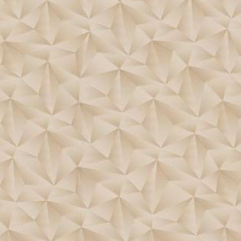 Papel de Parede 3D - Raizes - 10106-02 - Vinilico-TNT