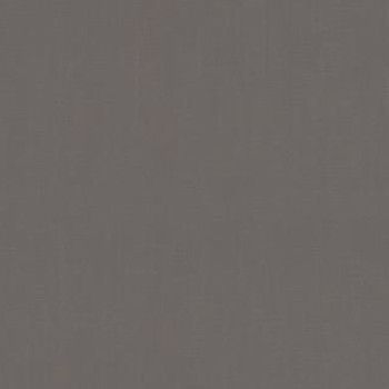 Papel de Parede Liso - Raizes - 10108-15 - Vinilico-TNT