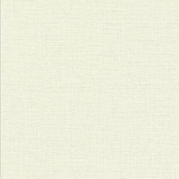Papel de Parede Textura - Raizes - 10140-01 - Vinilico-TNT