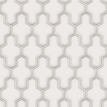 Papel de Parede 3D - HF Orient - 121021 - Vinílico - TNT 