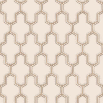 Papel de Parede 3D - HF Orient - 121022 - Vinílico - TNT 
