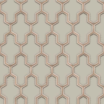 Papel de Parede 3D - HF Orient - 121023 - Vinílico - TNT 