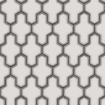 Papel de Parede 3D - HF Orient - 121024 - Vinílico - TNT 