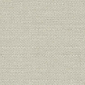 Papel de Parede Textura - HF Orient - 121036 - Vinílico - TNT 