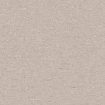 Papel de Parede Textura - HF Orient - 121059 - Vinílico - TNT 