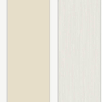 Papel de Parede Listrado - Stripes - 15000 - Vinilizado 