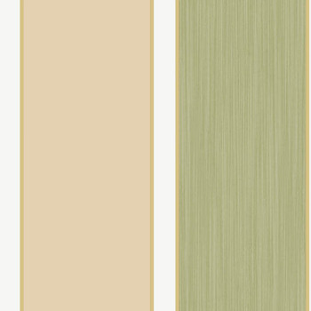 Papel de Parede Listrado - Stripes - 15005 - Vinilizado 
