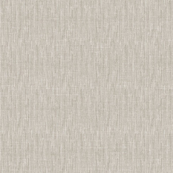 Papel de Parede Textura - Hana - 1910-2 - Vinílico