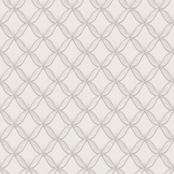 Papel de Parede 3D - HF Orient - 221221 - Vinílico - TNT 