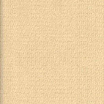 Papel de Parede Italiano Verve 30224  Vínílico Lavável 