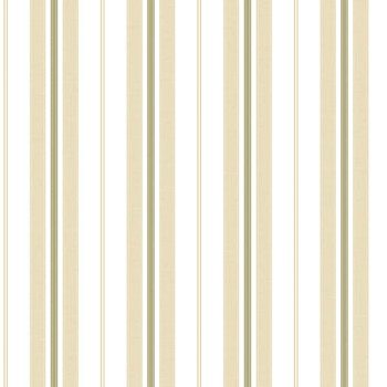Papel de Parede Listrado - Stripes - 3232 - Vinilizado 