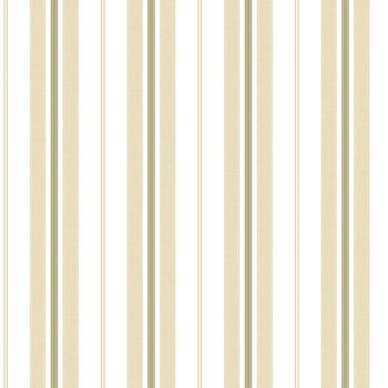 Papel de Parede Listrado - Stripes - 3232 - Vinilizado 