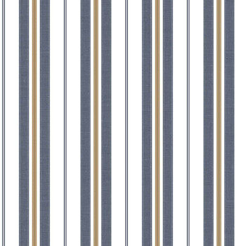 Papel de Parede Listrado - Stripes - 3234 - Vinilizado 
