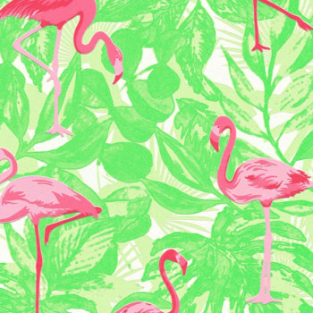 Papel de Parede Flamingo - Boys & Girls 6 - 359802 - TNT