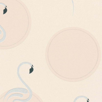 Papel de Parede Flamingo - Boys & Girls 6 - 369982 - TNT