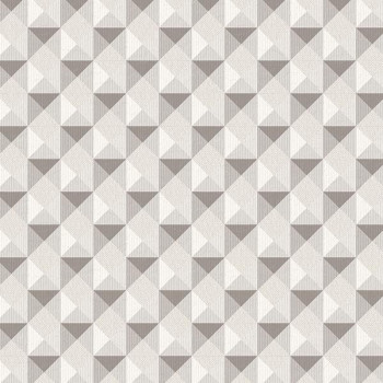 Papel de Parede Geométrico - Atemporal - 3704 - Vinilizado