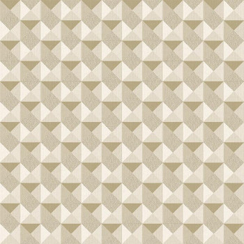 Papel de Parede Geométrico - Atemporal - 3705 - Vinilizado