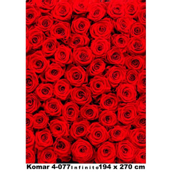 4-077 - Painel Fotográfico