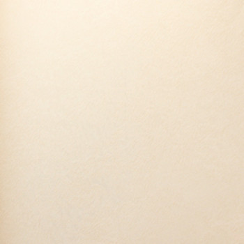 Papel de Parede Italiano Magica 40379  Vínílico Lavável 