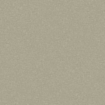Papel de Parede Textura - Essencial B - 4307 - Vinílico