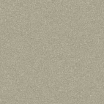 Papel de Parede Textura - Essencial B - 4307 - Vinílico