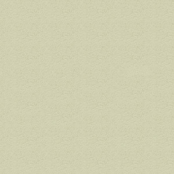 Papel de Parede Textura - Classici 4 - 4A095406R - Vinilico – TNT 
