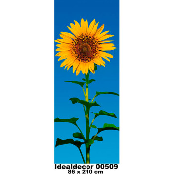 509 - Painel Fotográfico