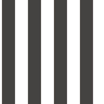Papel de Parede Listrado - Stripes - 5665 - Vinilizado 
