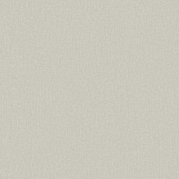 Papel de Parede Textura - Lionel - 660145 - Vinilizado / TNT