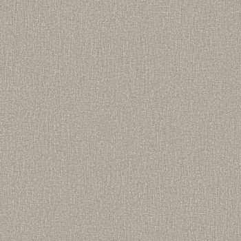 Papel de Parede Textura - Lionel - 660147 - Vinilizado / TNT