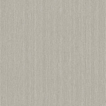 Papel de Parede Textura - Lionel - 660182 - Vinilizado / TNT
