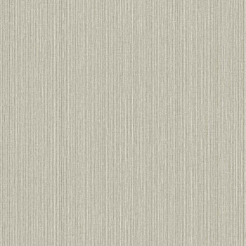 Papel de Parede Textura - Lionel - 660183 - Vinilizado / TNT