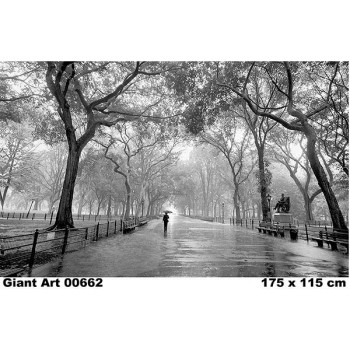 662 - Painel Fotográfico