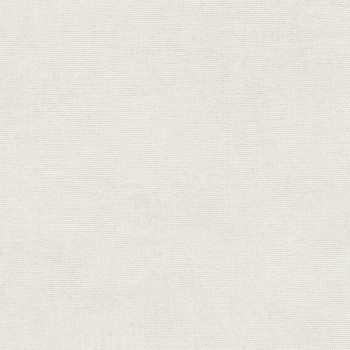 Papel de Parede Textura - Ivy - 6724-40 - TNT