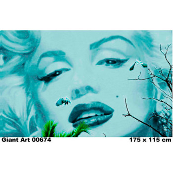 674 - Painel Fotográfico