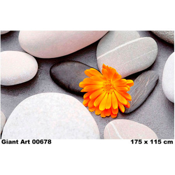 678 - Painel Fotográfico
