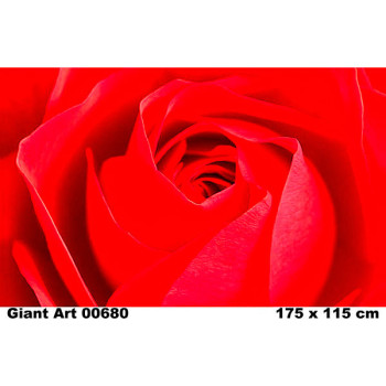 680 - Painel Fotográfico