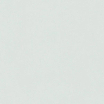 Papel de Parede Textura - Ivy - 6811-50 - TNT