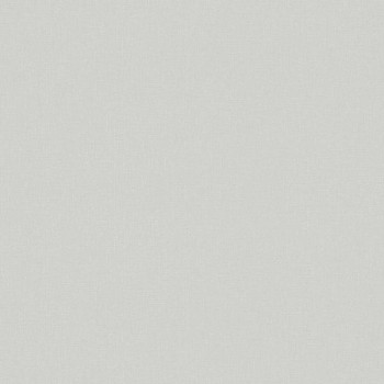 Papel de Parede Textura - Ivy - 6816-20 - TNT