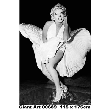 689 - Painel Fotográfico