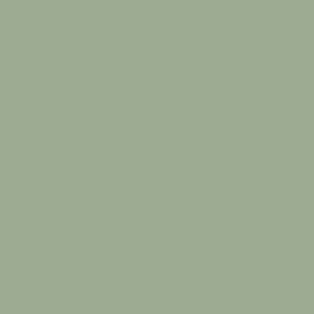 Papel de Parede Liso - Botânica - 81529 - Vinílico