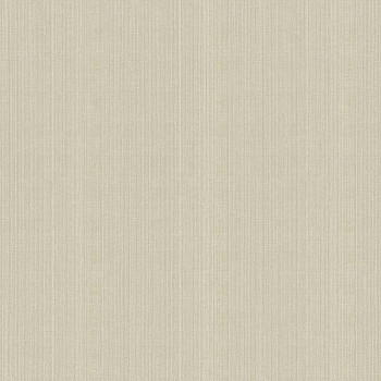 Papel de Parede Textura - Lionel - 9550543 - Vinilizado / TNT