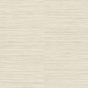 Papel de Parede Textura - Ciara - a62901 - Vinílico