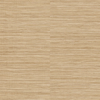 Papel de Parede Textura - Ciara - a62902 - Vinílico