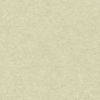 Papel de Parede Textura - Ciara - a65603 - Vinílico