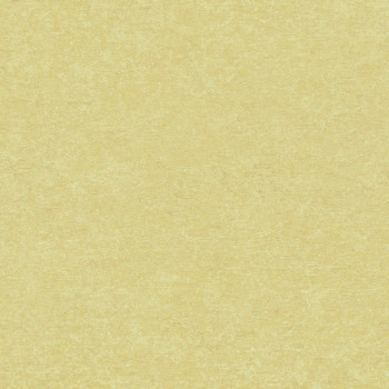 Papel de Parede Textura - Ciara - a65604 - Vinílico