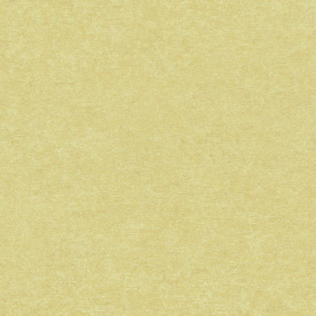 Papel de Parede Textura - Ciara - a65604 - Vinílico