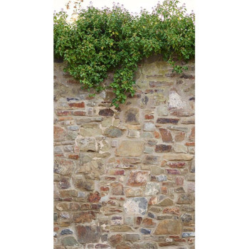 Papel de Parede Painel Pedras e Canjiquinha - The Wall 2 - AS392471 - Vinílico