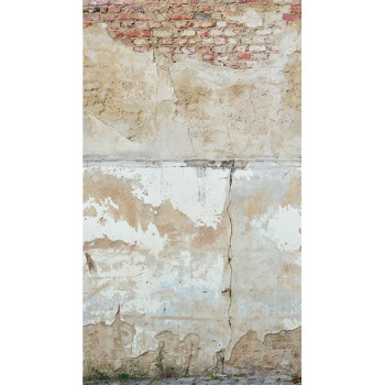 Papel de Parede Painel Tijolinho - The Wall 2 - AS392491 - Vinílico