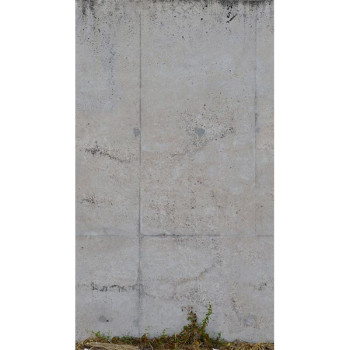 Papel de Parede Painel Pedras e Canjiquinha - The Wall 2 - AS392541 - Vinílico